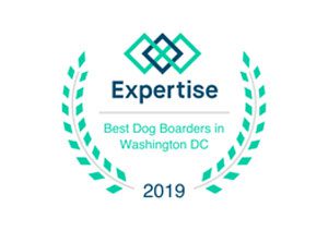 Expertise 2019 – Best Dog Boarding in Washington, DC Expertise 2019 - Best Dog Boarding in Washington, DC